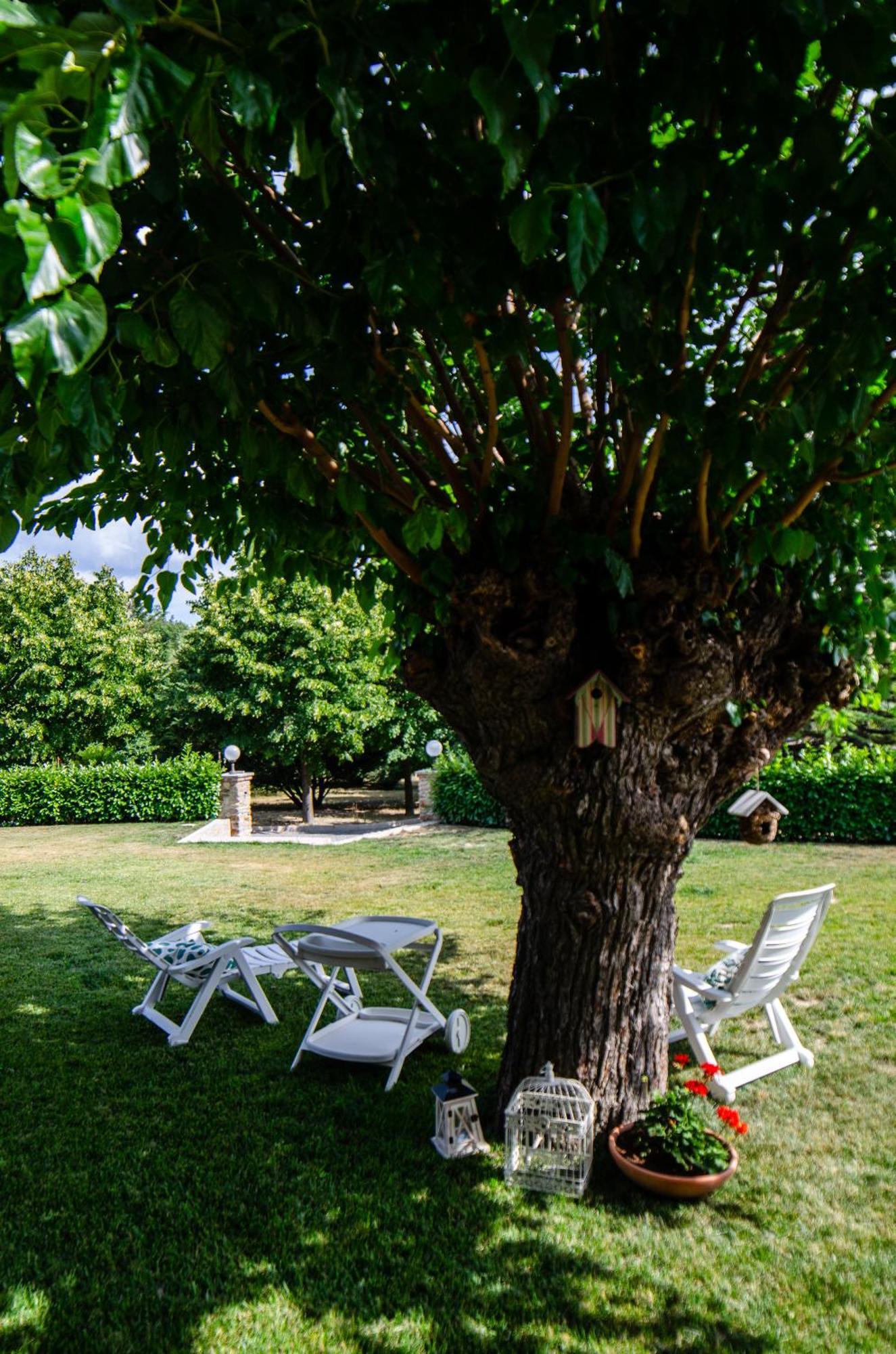 Bed and Breakfast Cascina Il Gelso Mornese Exterior foto