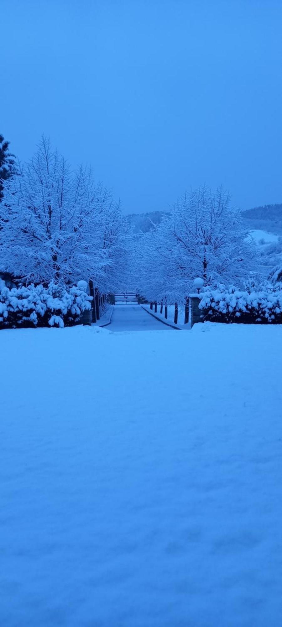 Bed and Breakfast Cascina Il Gelso Mornese Exterior foto